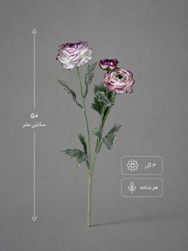 آناما ( آلاله)