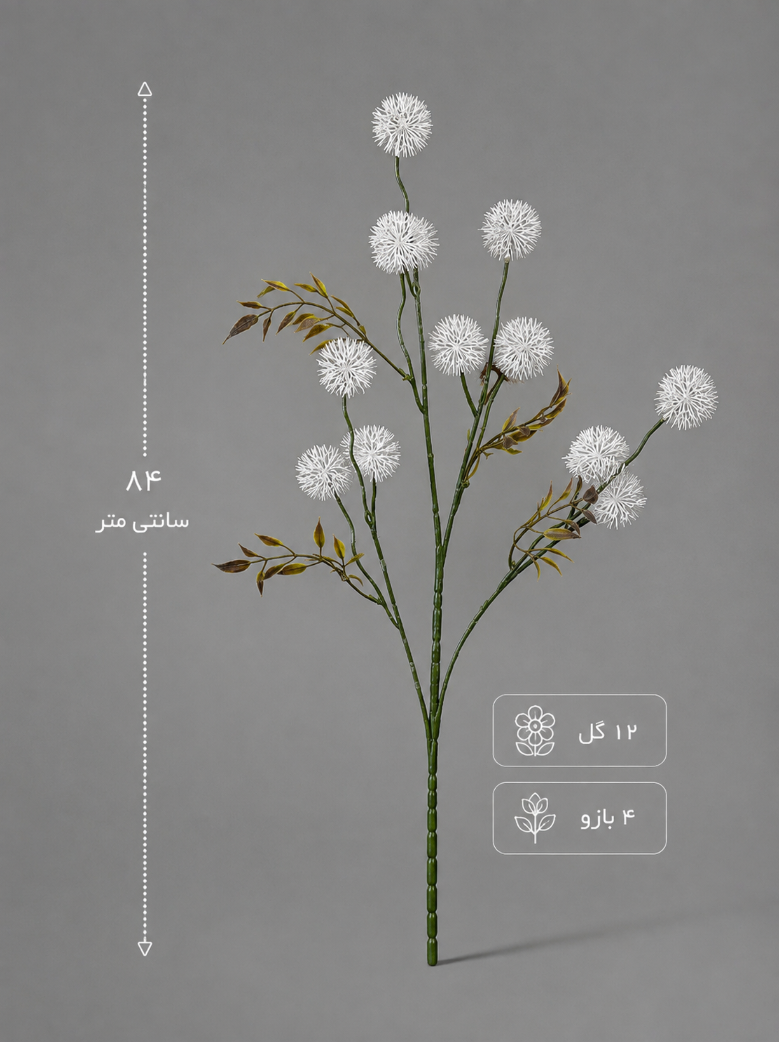قاصدک
